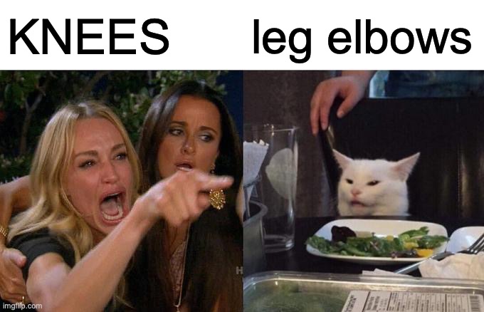 which is which | KNEES; leg elbows | image tagged in memes,woman yelling at cat | made w/ Imgflip meme maker