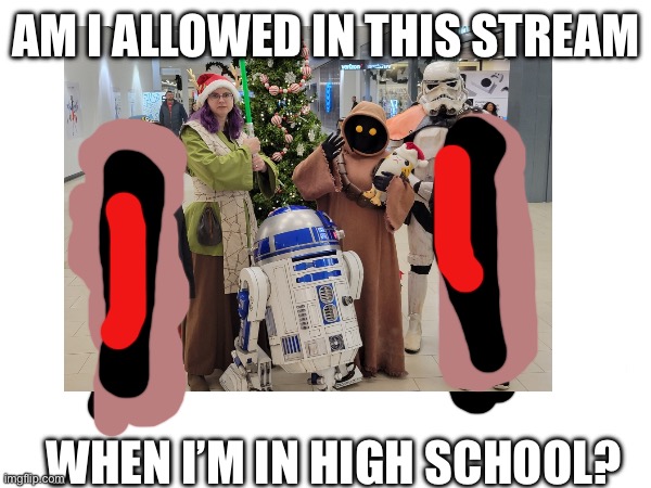 Had to block out me and my sister from the picture, Star Wars characters came to the mall that we were at | AM I ALLOWED IN THIS STREAM; WHEN I’M IN HIGH SCHOOL? | image tagged in star wars,question,middle school,please do not the cat | made w/ Imgflip meme maker