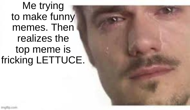 Bro Please Bro | Me trying to make funny memes. Then realizes the top meme is fricking LETTUCE. | image tagged in bro please bro | made w/ Imgflip meme maker