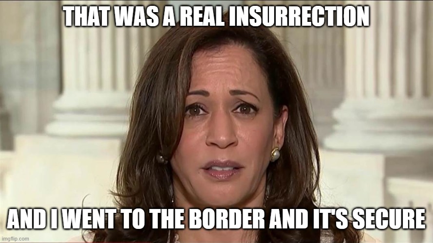 kamala harris | THAT WAS A REAL INSURRECTION AND I WENT TO THE BORDER AND IT'S SECURE | image tagged in kamala harris | made w/ Imgflip meme maker