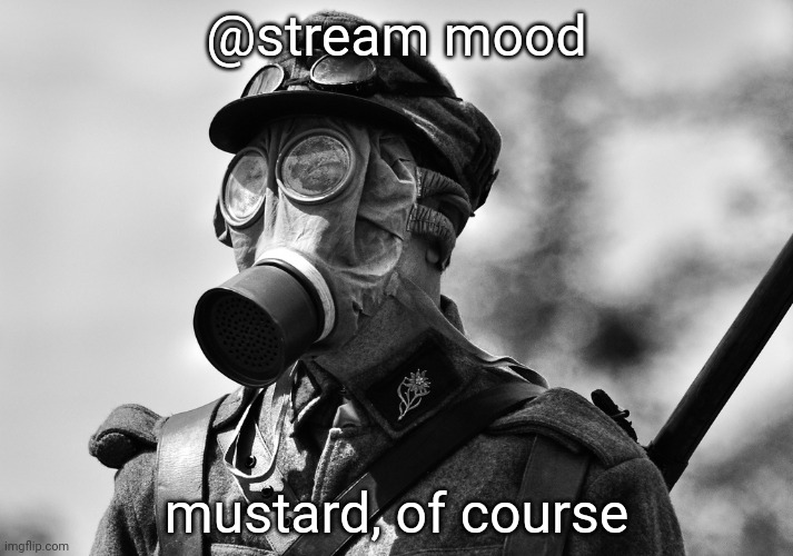 If yk yk | @stream mood; mustard, of course | image tagged in ww1 gas mask | made w/ Imgflip meme maker