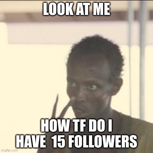 Look At Me | LOOK AT ME; HOW TF DO I HAVE  15 FOLLOWERS | image tagged in memes,look at me | made w/ Imgflip meme maker