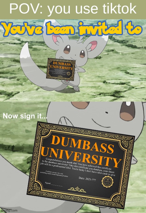 You've been invited to dumbass university | POV: you use tiktok | image tagged in you've been invited to dumbass university | made w/ Imgflip meme maker