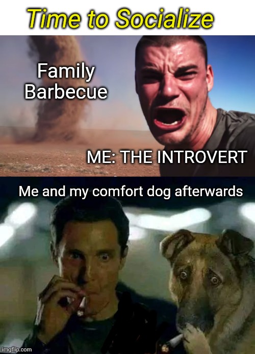 Introvert forced to socialise | Time to Socialize; Family Barbecue; ME: THE INTROVERT; Me and my comfort dog afterwards | image tagged in here it comes,antisocial,introvert,barbecue | made w/ Imgflip meme maker