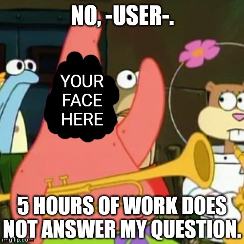 No Patrick Meme | NO, -USER-. 5 HOURS OF WORK DOES NOT ANSWER MY QUESTION. YOUR FACE HERE | image tagged in memes,no patrick | made w/ Imgflip meme maker
