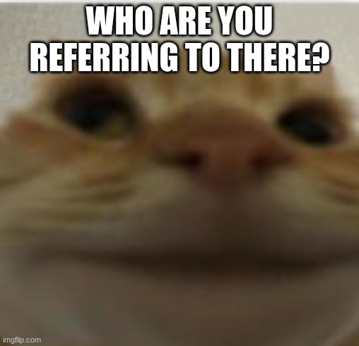 Front-Facing Camera Cat | WHO ARE YOU REFERRING TO THERE? | image tagged in front-facing camera cat | made w/ Imgflip meme maker