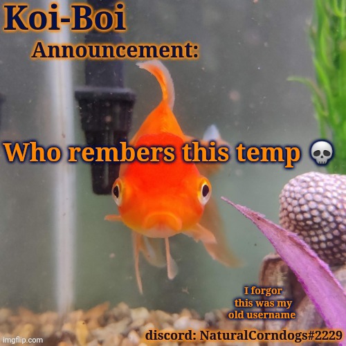 Who rembers this temp 💀; I forgor this was my old username | made w/ Imgflip meme maker