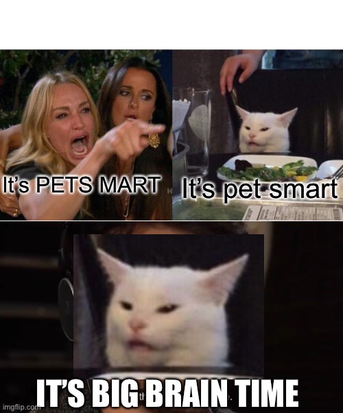 How do you say it | It’s pet smart; It’s PETS MART; IT’S BIG BRAIN TIME | image tagged in memes,woman yelling at cat,yeah this is big brain time | made w/ Imgflip meme maker