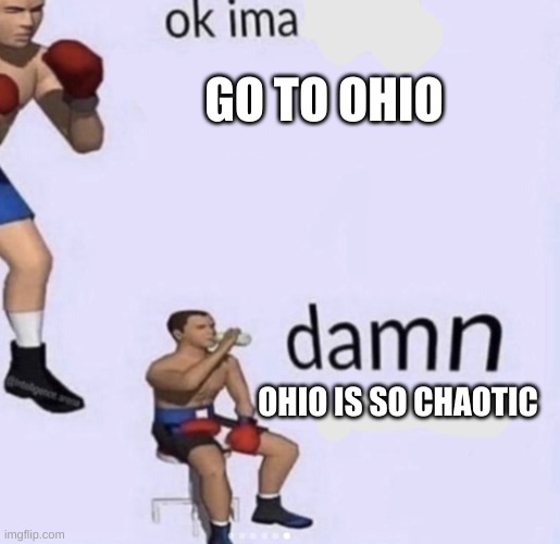 damn got hands | GO TO OHIO; OHIO IS SO CHAOTIC | image tagged in damn got hands | made w/ Imgflip meme maker