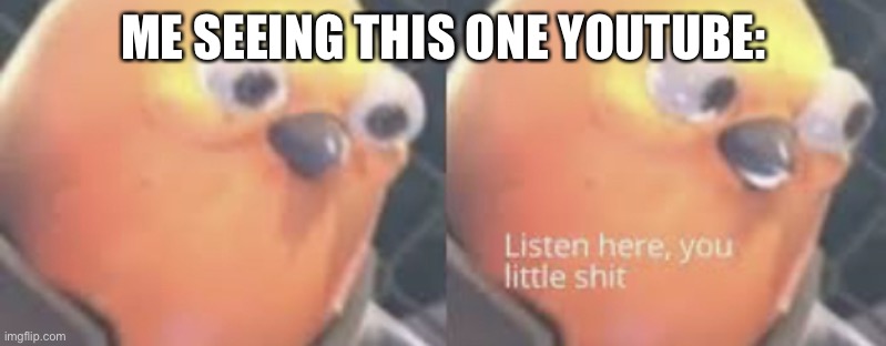 Listen here you little shit bird | ME SEEING THIS ONE YOUTUBE: | image tagged in listen here you little shit bird | made w/ Imgflip meme maker