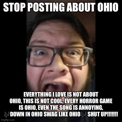 Ok Maybe I went to far, don’t you think?? | STOP POSTING ABOUT OHIO; EVERYTHING I LOVE IS NOT ABOUT OHIO, THIS IS NOT COOL, EVERY HORROR GAME IS OHIO, EVEN THE SONG IS ANNOYING, 🎶DOWN IN OHIO SWAG LIKE OHIO🎶 SHUT UP!!!!!!! | image tagged in stop posting about among us | made w/ Imgflip meme maker