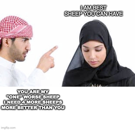 i am best sheep you can have | I AM BEST SHEEP YOU CAN HAVE; YOU ARE MY ''ONE'' WORSE SHEEP
I NEED 4 MORE SHEEPS MORE BETTER THAN YOU | image tagged in muslims | made w/ Imgflip meme maker