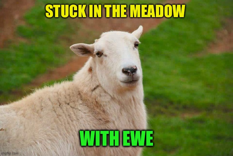 STUCK IN THE MEADOW WITH EWE | made w/ Imgflip meme maker