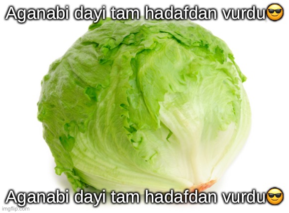 Lettuce  | Aganabi dayi tam hadafdan vurdu😎; Aganabi dayi tam hadafdan vurdu😎 | image tagged in lettuce | made w/ Imgflip meme maker