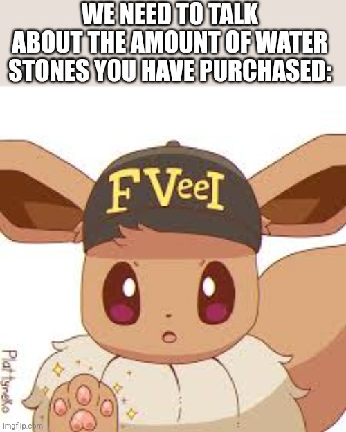 F Vee I | WE NEED TO TALK ABOUT THE AMOUNT OF WATER STONES YOU HAVE PURCHASED: | image tagged in f vee i | made w/ Imgflip meme maker