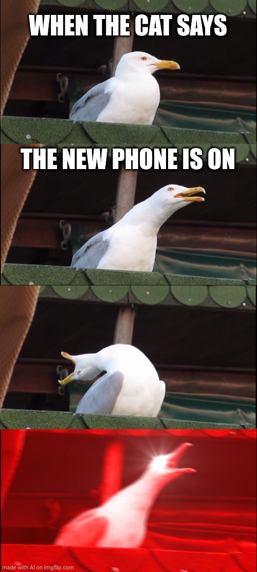 OMG THE PHONE IS ON! | WHEN THE CAT SAYS; THE NEW PHONE IS ON | image tagged in memes,inhaling seagull | made w/ Imgflip meme maker
