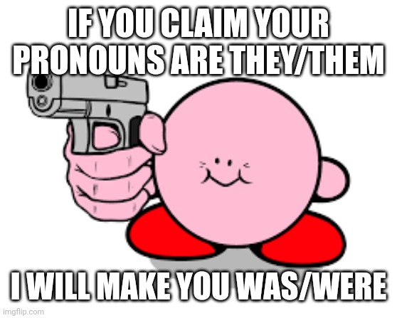 Kirby with a gun | IF YOU CLAIM YOUR PRONOUNS ARE THEY/THEM; I WILL MAKE YOU WAS/WERE | image tagged in kirby with a gun | made w/ Imgflip meme maker