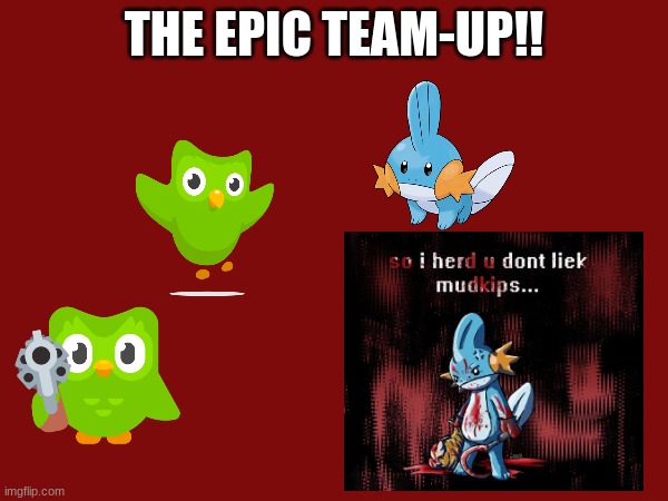 THE EPIC TEAM-UP!! | image tagged in duolingo,mudkip | made w/ Imgflip meme maker
