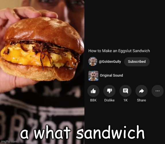 a what sandwich | made w/ Imgflip meme maker