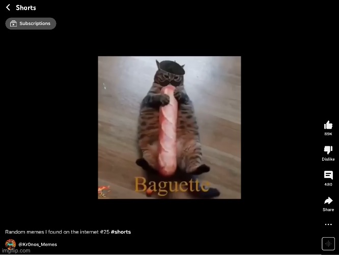 Baguette | image tagged in baguette | made w/ Imgflip meme maker