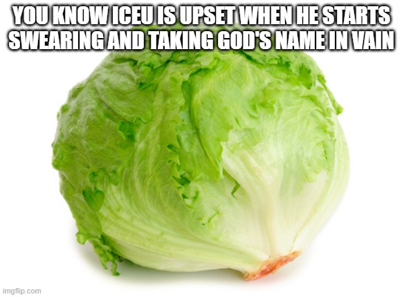 Although to be fair that's how you know most people are upset | YOU KNOW ICEU IS UPSET WHEN HE STARTS SWEARING AND TAKING GOD'S NAME IN VAIN | image tagged in lettuce | made w/ Imgflip meme maker