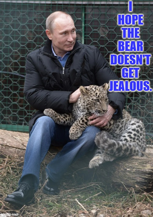 What Happens When You Cheat On A Bear? | I HOPE THE BEAR DOESN'T GET JEALOUS. | image tagged in putin,cheating,jealous,bear,with,leopard | made w/ Imgflip meme maker