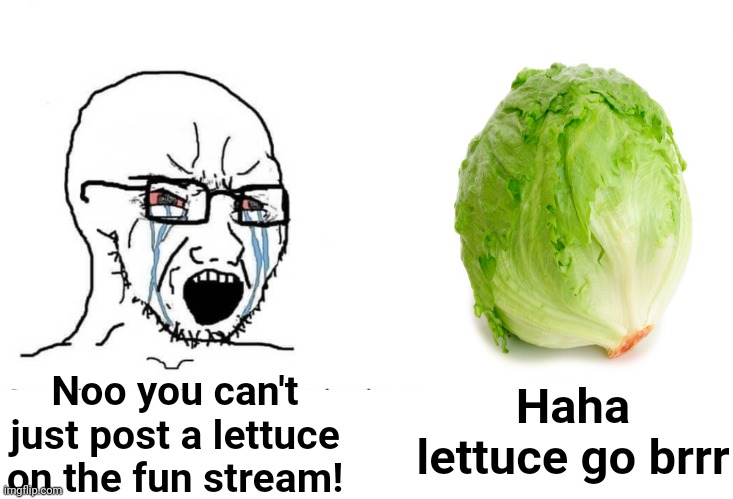 Soyboy Vs Yes Chad | Haha lettuce go brrr; Noo you can't just post a lettuce on the fun stream! | image tagged in soyboy vs yes chad | made w/ Imgflip meme maker