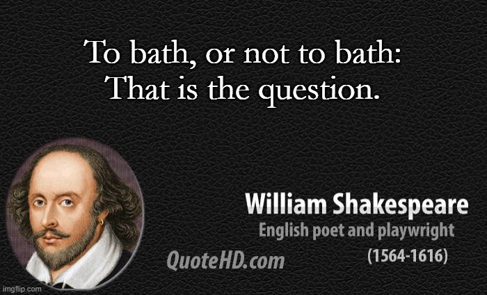 In winters it be like | To bath, or not to bath:
That is the question. | image tagged in quotes,shakespeare,winter | made w/ Imgflip meme maker