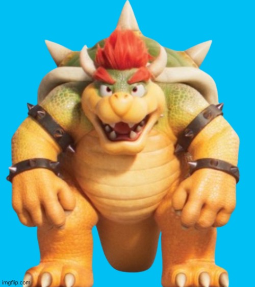 Bowser Model (TSMBM) | image tagged in bowser model tsmbm | made w/ Imgflip meme maker