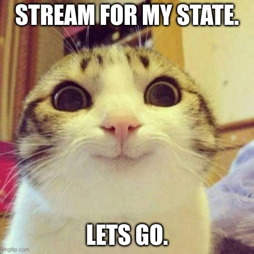 Smiling Cat Meme | STREAM FOR MY STATE. LETS GO. | image tagged in memes,smiling cat | made w/ Imgflip meme maker