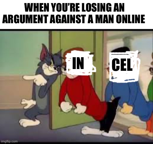 Get ‘em Boys! | WHEN YOU’RE LOSING AN ARGUMENT AGAINST A MAN ONLINE; CEL; IN | image tagged in get em boys | made w/ Imgflip meme maker
