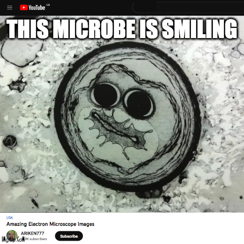 smiling microbe | THIS MICROBE IS SMILING | image tagged in science,microscope,amoeba,smiling face | made w/ Imgflip meme maker