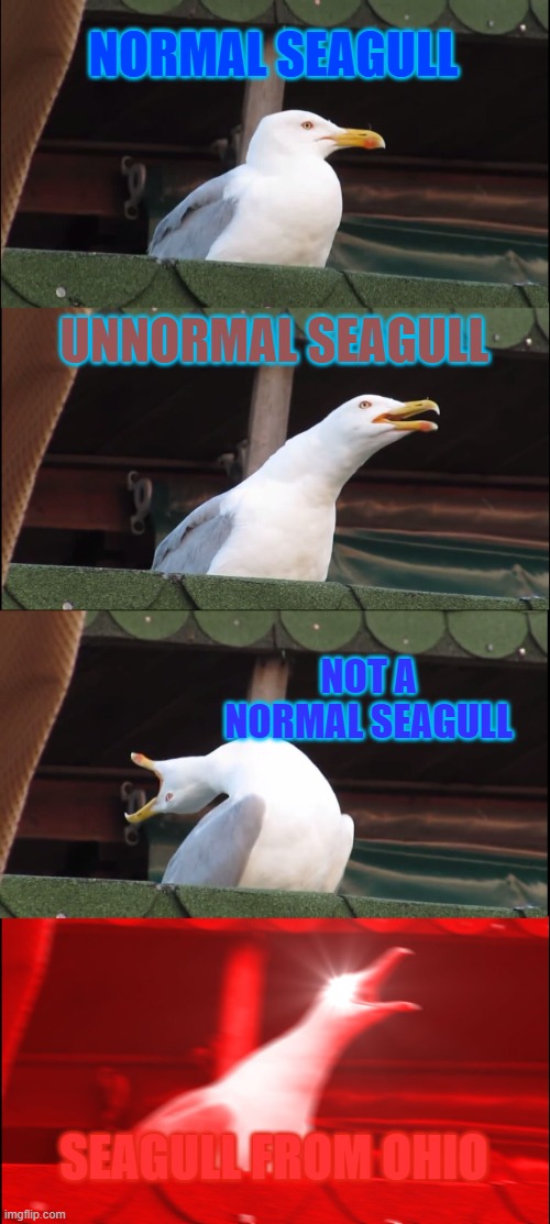 seagulls | NORMAL SEAGULL; UNNORMAL SEAGULL; NOT A NORMAL SEAGULL; SEAGULL FROM OHIO | image tagged in memes,inhaling seagull | made w/ Imgflip meme maker
