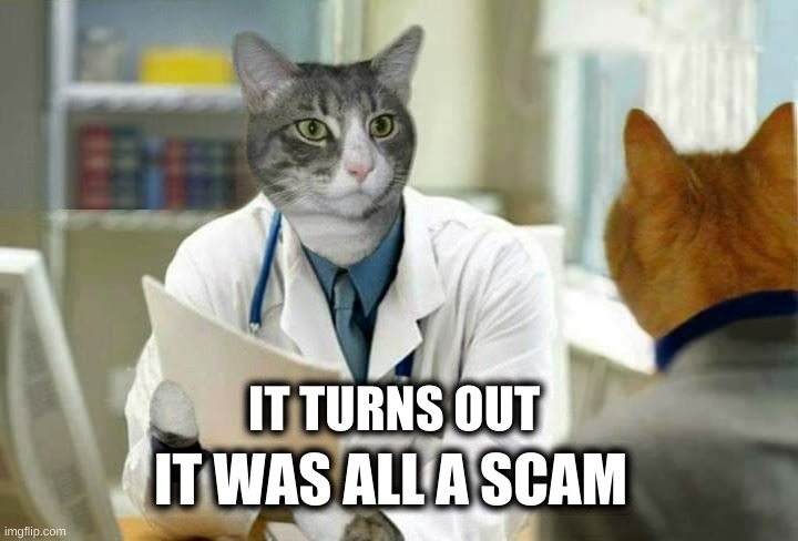Cat Scam | IT WAS ALL A SCAM; IT TURNS OUT | image tagged in doctor and patient,cats,pandemic,scam,fraud,weird science | made w/ Imgflip meme maker