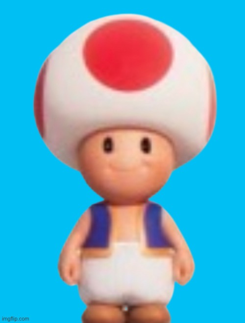 :skull: | image tagged in toad model tsmbm | made w/ Imgflip meme maker