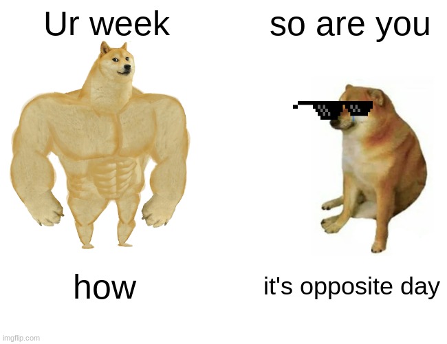 Buff Doge vs. Cheems | Ur week; so are you; how; it's opposite day | image tagged in memes,buff doge vs cheems | made w/ Imgflip meme maker