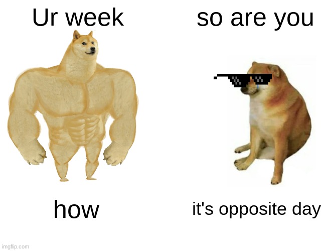 Buff Doge vs. Cheems Meme | Ur week; so are you; how; it's opposite day | image tagged in memes,buff doge vs cheems | made w/ Imgflip meme maker