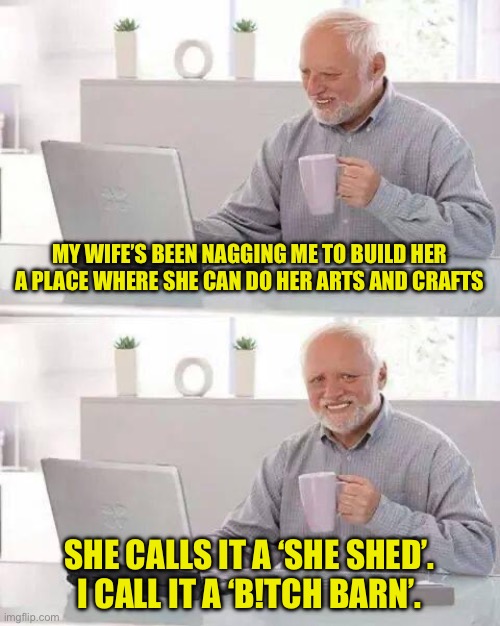 She shed | MY WIFE’S BEEN NAGGING ME TO BUILD HER A PLACE WHERE SHE CAN DO HER ARTS AND CRAFTS; SHE CALLS IT A ‘SHE SHED’. I CALL IT A ‘B!TCH BARN’. | image tagged in memes,hide the pain harold | made w/ Imgflip meme maker