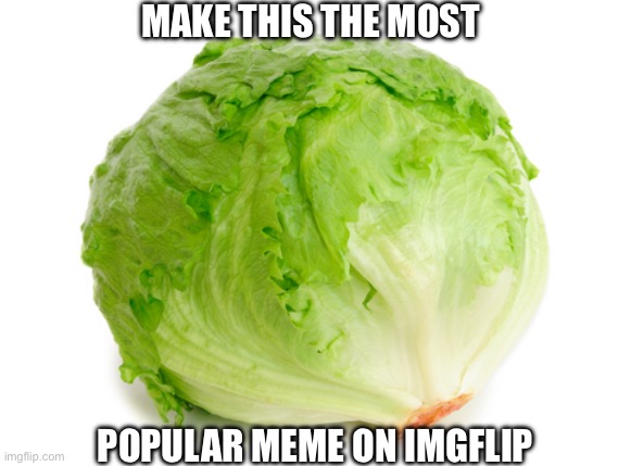 Continuing the lettuce chaos | MAKE THIS THE MOST; POPULAR MEME ON IMGFLIP | image tagged in lettuce | made w/ Imgflip meme maker