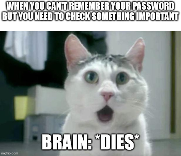 I can't remember | WHEN YOU CAN'T REMEMBER YOUR PASSWORD BUT YOU NEED TO CHECK SOMETHING IMPORTANT; BRAIN: *DIES* | image tagged in memes,omg cat,funny,fun,funny memes,lol | made w/ Imgflip meme maker