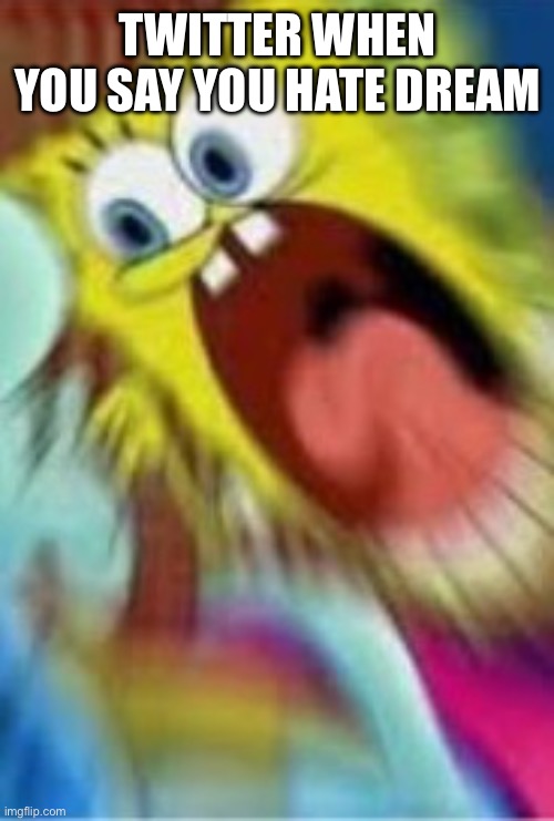 Twitter be on some weird stuff | TWITTER WHEN YOU SAY YOU HATE DREAM | image tagged in yelling spongebob,funny memes,twitter,dream,memes | made w/ Imgflip meme maker