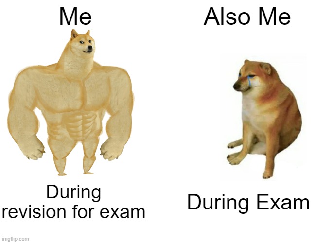 Me during exams | Me; Also Me; During revision for exam; During Exam | image tagged in memes,buff doge vs cheems | made w/ Imgflip meme maker