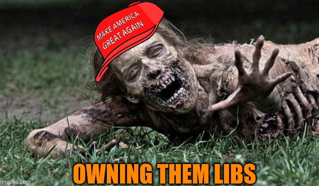 Walking Dead Zombie | OWNING THEM LIBS | image tagged in walking dead zombie | made w/ Imgflip meme maker