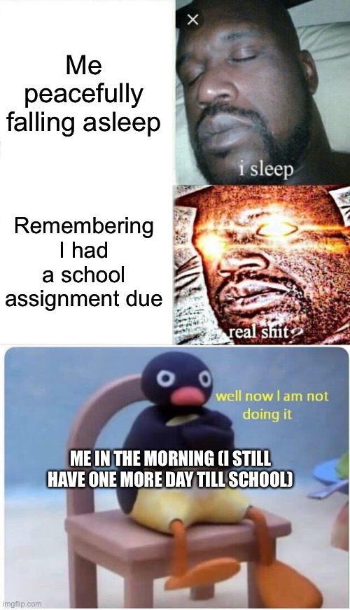Clever title | Me peacefully falling asleep; Remembering I had a school assignment due; ME IN THE MORNING (I STILL HAVE ONE MORE DAY TILL SCHOOL) | image tagged in memes,sleeping shaq,well now i'm not doing it,true story,school | made w/ Imgflip meme maker