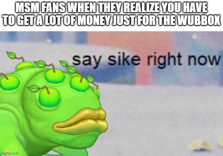 a | MSM FANS WHEN THEY REALIZE YOU HAVE TO GET A LOT OF MONEY JUST FOR THE WUBBOX | image tagged in brump say sike right now,brump,msm,my singing monsters | made w/ Imgflip meme maker