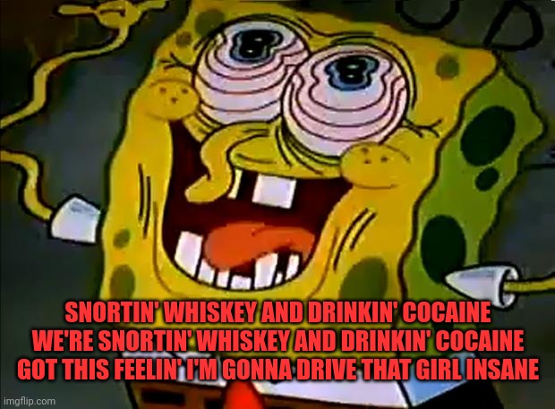 Musically Insane Spongebob | SNORTIN' WHISKEY AND DRINKIN' COCAINE
WE'RE SNORTIN' WHISKEY AND DRINKIN' COCAINE
GOT THIS FEELIN' I'M GONNA DRIVE THAT GIRL INSANE | image tagged in musically insane spongebob | made w/ Imgflip meme maker
