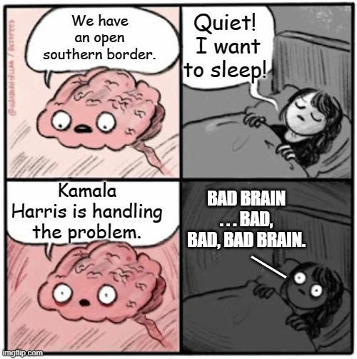 Leftist solution?  If you broke it, then break it some more . . . and then blame Trump | Quiet!  I want to sleep! We have an open southern border. Kamala Harris is handling the problem. BAD BRAIN . . . BAD, BAD, BAD BRAIN. __ | image tagged in brain before sleep | made w/ Imgflip meme maker