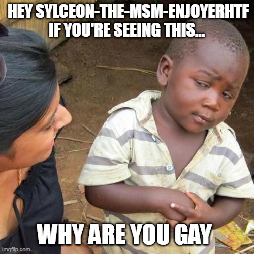 bruh man.... EVERYONE KNOWS YOUR GAY!!! You have freaking pride symbols on most of your memes. | HEY SYLCEON-THE-MSM-ENJOYERHTF IF YOU'RE SEEING THIS... WHY ARE YOU GAY | image tagged in memes,third world skeptical kid | made w/ Imgflip meme maker