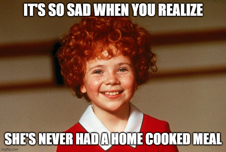 Take Out | IT'S SO SAD WHEN YOU REALIZE; SHE'S NEVER HAD A HOME COOKED MEAL | image tagged in little orphan annie | made w/ Imgflip meme maker
