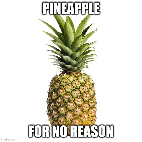 Pineapple | PINEAPPLE; FOR NO REASON | image tagged in funny,memes,repost | made w/ Imgflip meme maker